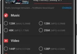 فدميت VidMate: اختر صيغة الملف قبل تنزيل الفيديو