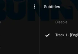تبحث عن تطبيق Egydead؟ اختر صوت ملفك المحلي في VLC