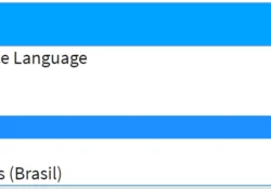 بعد تنزيل Roblox: غيّر لغة الحساب من Personal