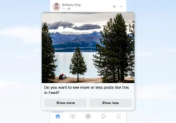 Facebook Gold: حسّن الخلاصة بخياري مهتم وغير مهتم