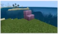 درج Minecraft: اختر اتجاه وضعه قبل إعادة بناء المدخل