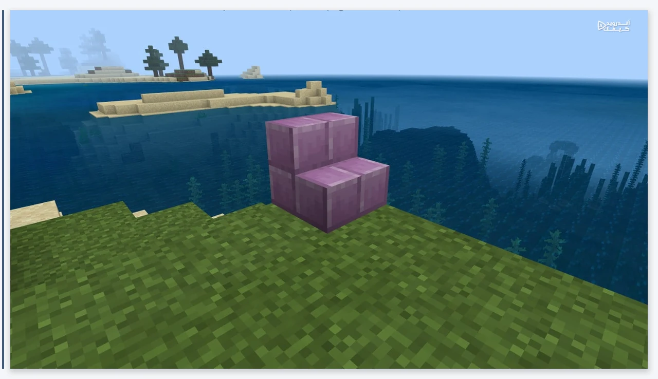 كتلة درج بنفسجية في Minecraft موضوعة على العشب بجوار البحر